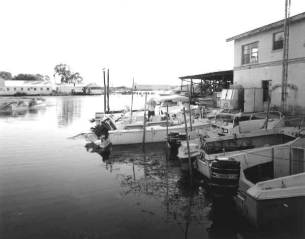 Old Crystal River